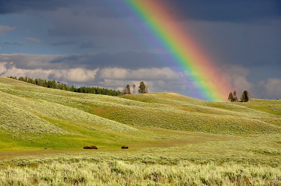 Rainbow in landscape